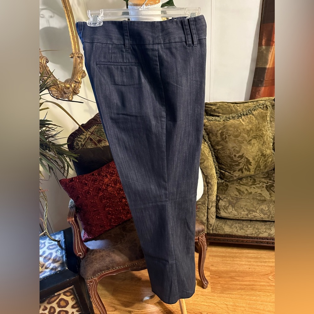 Ann Taylor Loft Size 10 Blue Jean Slacks(0014)